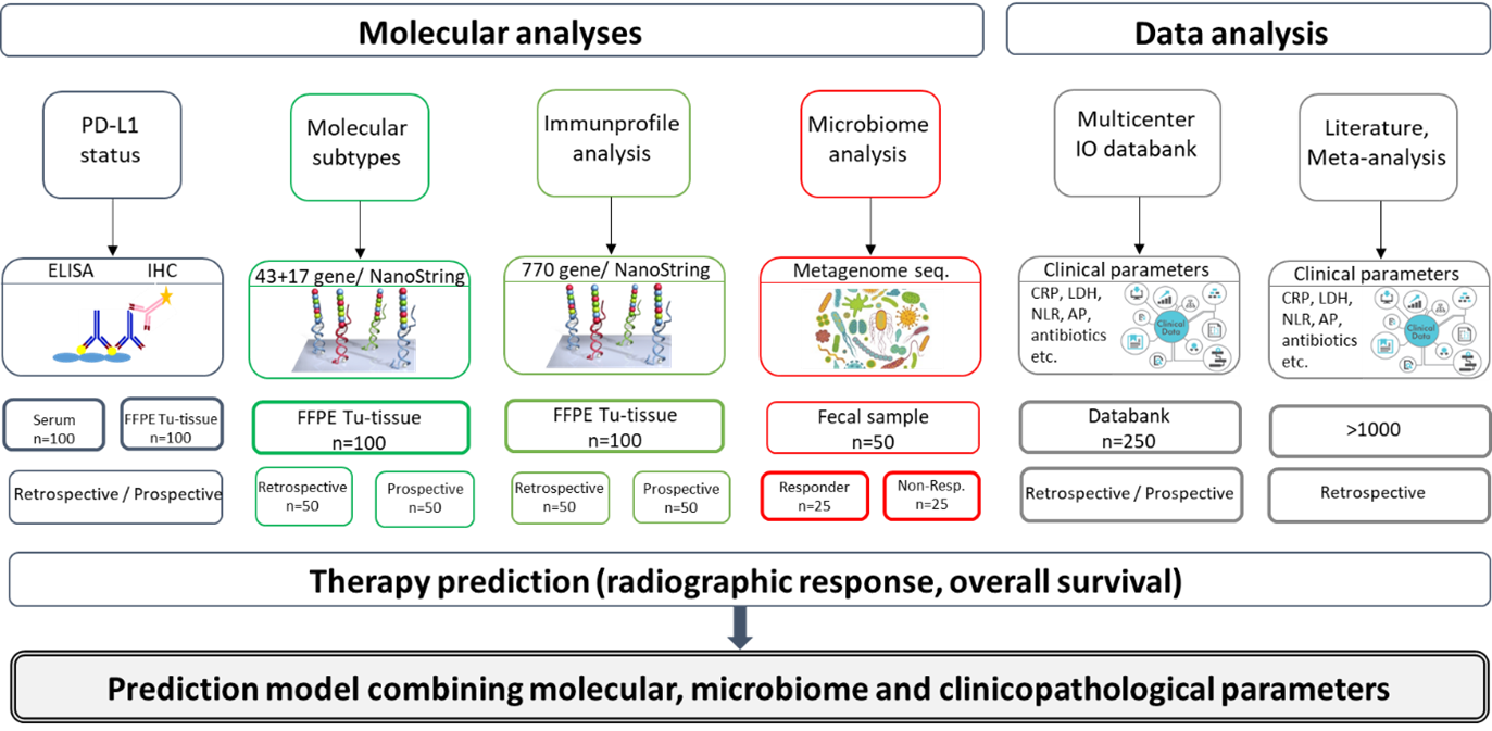 Vorhersagemodell für Therapieerfolg basierend auf molekularen, mikrobiellen und klinischen Parametern