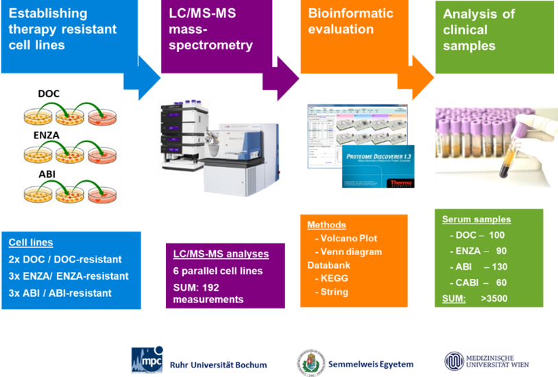 Workflow zur Etablierung therapieresistenter Zelllinien und anschließender Massenspektrometrie